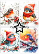 A four-panel watercolor illustration set featuring birds in winter clothing, with red berries, snowy branches, and a central black star containing the text 'Paper Favourites'.