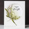 Penny Black Clear Stamps - Looking Up