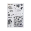 Poppy Crafts Clear Stamps