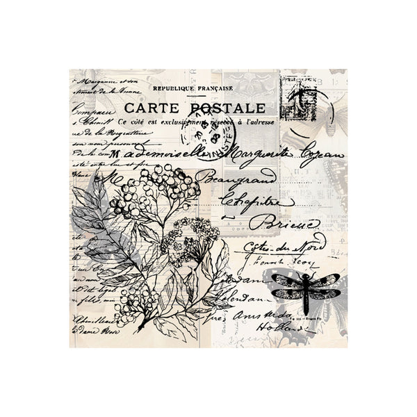 Poppy Crafts Clear Stamps #586 - Background - Carte Postale