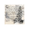 Poppy Crafts Clear Stamps #588 - Background - Fern Postcard