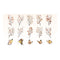 Poppy Crafts Vine Branch Sticker Pack - Autumn Leaves