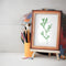 Poppy Craft Stencil Kit #87 - Single Ferns
