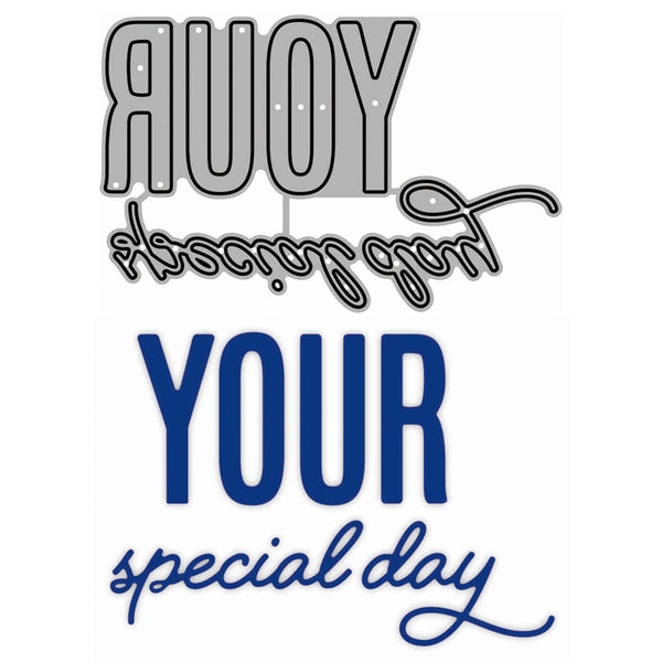 A die-cut sticker or decal design on a white background, featuring the phrase 'YOUR special day' in stylized lettering. The top word 'YOUR' is in large gray block letters with a black outline, the middle word is in cursive gray/black, and the bottom phrase 'YOUR special day' is in bold blue block letters with 'special day' in blue cursive script.