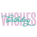 The text 'WISHES Birthday' on a plain white background, with 'WISHES' in large light pink block letters and 'Birthday' in teal cursive script across the center.
