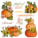 A set of autumn-themed watercolor illustrations featuring pumpkins, sunflowers, pink flowers, and decorative text including 'Gathered with Love', 'Harvest', and 'love you a PUMPKIN BUNCH' on a white background.