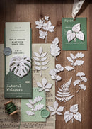 A styled flat-lay of botanical paper cutouts and matching printed cards on a wooden surface. The set includes white leaf and branch cutouts, a green card with a monstera design, a cream card with text, a green tag reading 'P.