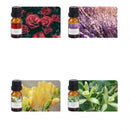 Four small amber glass essential oil bottles with black caps arranged in a 2x2 grid, each shown with a floral or botanical label image behind it: roses, lavender, yellow flowers, and green leaves. The labels are too small to read clearly.