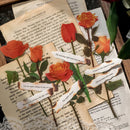 Collage of red and orange roses on a textured surface with text overlay
