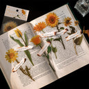 Open book with sunflower illustrations and a small bottle of water on a dark surface.