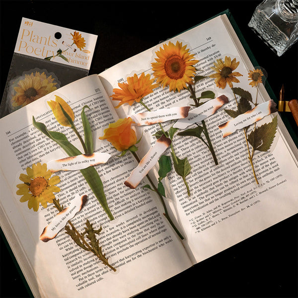 Open book with sunflower illustrations and a small bottle of water on a dark surface.