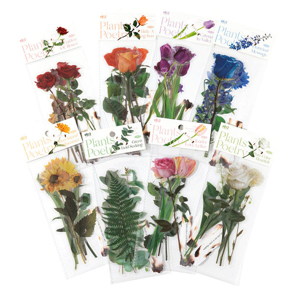 Collection of pressed flower packages with colorful flowers on a white background