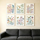 Six framed botanical art prints with colorful wildflower illustrations arranged in two rows above a dark gray sofa against a beige wall.