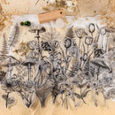 A sheet of clear stamps or decals featuring black and gray botanical line art, including mushrooms, ferns, tulips, and wildflowers, arranged on a textured beige surface with dried flowers and a small wooden tag.