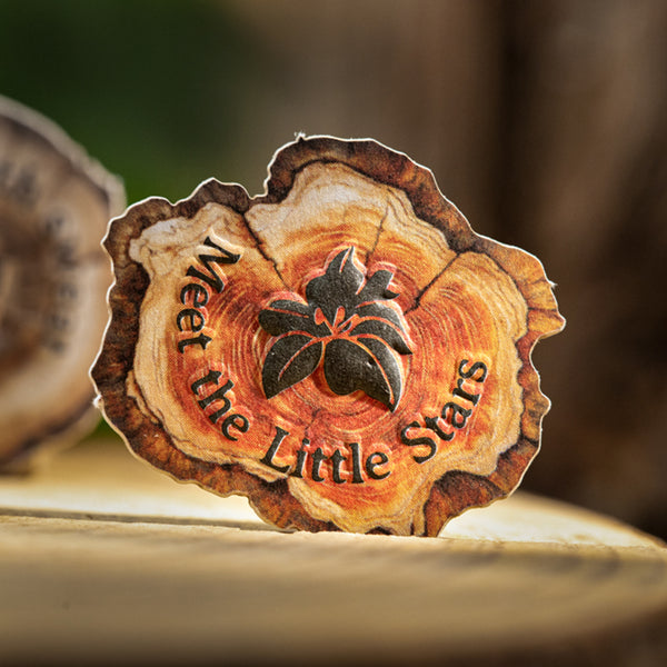 Poppy Crafts Wood Grain Fragments Sticker Kit - The Language of Logs