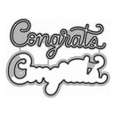 A silver and gray 'Congrats Crazy' novelty cake topper or sticker with a wavy outline and drop shadow, shown on a plain white background.