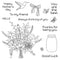 Poppy Crafts Cutting Dies & Stamp Set