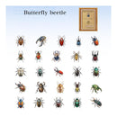 Poppy Crafts Insect Specimens PET Stickers - Butterfly Beetle
