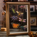 Poppy Crafts Insect Specimens PET Stickers - Butterfly Moth