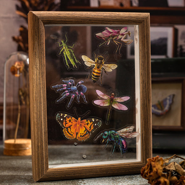 Poppy Crafts Insect Specimens PET Stickers - Spider & Mantis