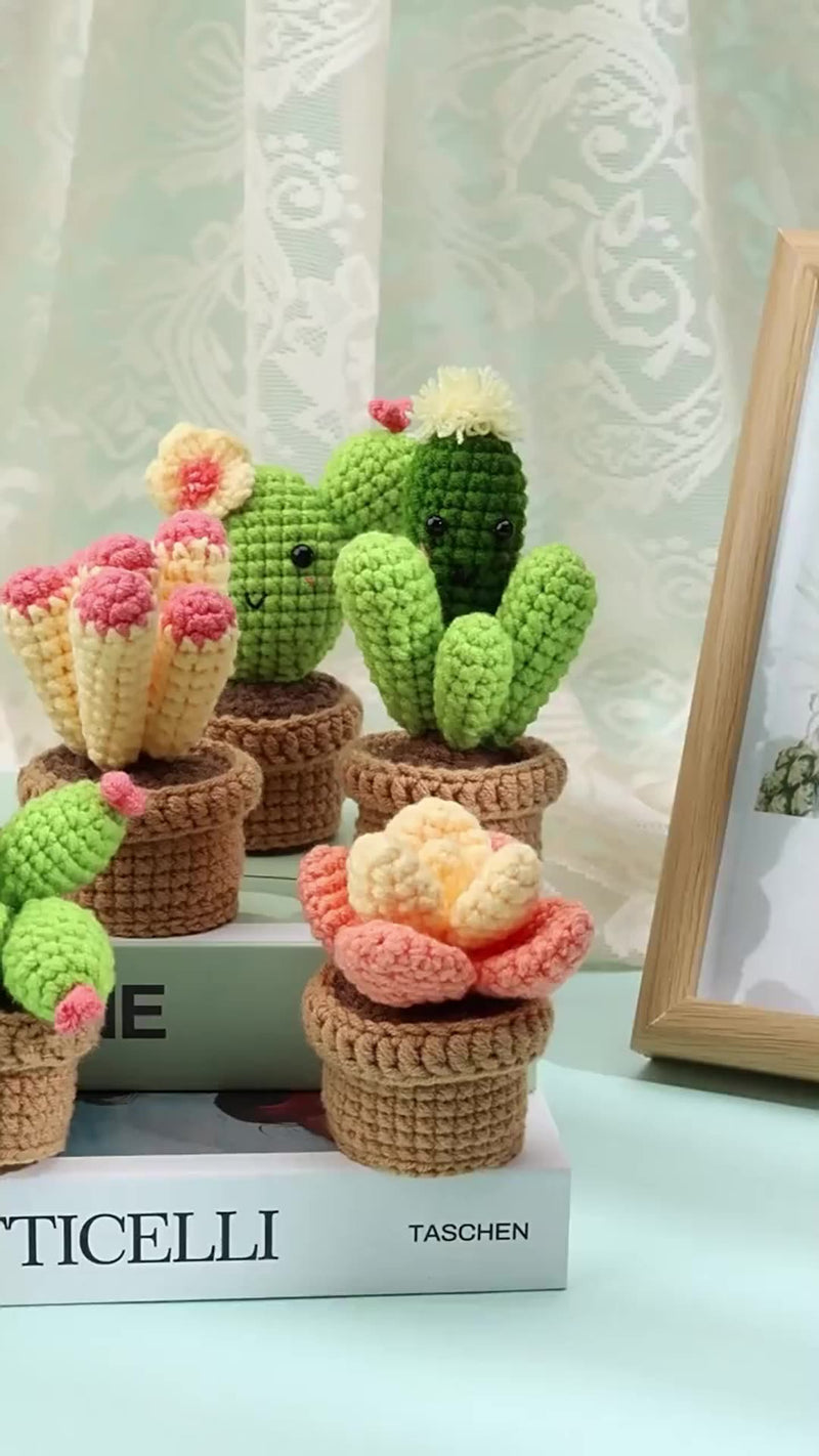 Poppy Crafts Learn to Crochet Kit