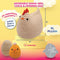 Poppy Crafts Learn to Crochet Kit