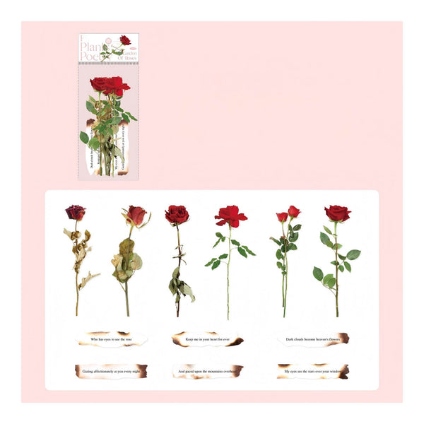 A sheet of floral stickers featuring red roses in various stages of bloom with decorative text strips, shown alongside the retail packaging on a light pink background.