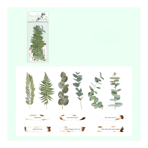 Plant & Paper stamp set featuring botanical designs of ferns, eucalyptus leaves, and bark textures on a white sheet, with the retail packaging shown in the upper left on a pale mint background.