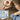 Poppy Crafts Stamps