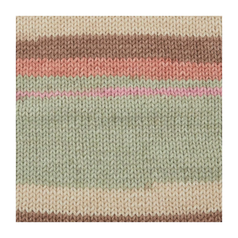 Premier Basix Trendy Yarn - Desert Sands
