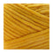 Premier Parfait Plush Yarn - Summer Squash