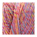 Premier Yarns Basix Mosaic Yarn 120g - Bouquet