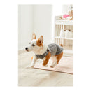 Premier Yarns Free Pattern -   Basix Worsted Marl  - Dapper Dog Sweater