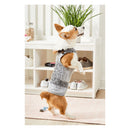 Premier Yarns Free Pattern -   Basix Worsted Marl  - Dapper Dog Sweater