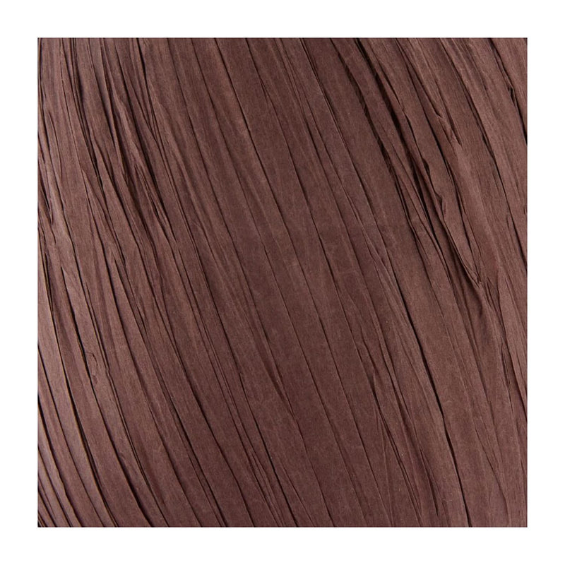 Premier Raffia Yarn - Cacao