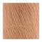 Premier Raffia Yarn - Straw