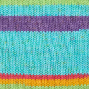 Premier Basix Trendy Yarn - Pinata