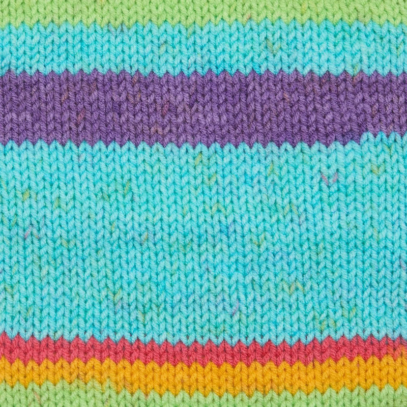 Premier Basix Trendy Yarn - Pinata