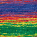 Premier Yarns Hipster Cotton Yarn 100g - Prismatic