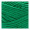 Premier Parfait Chunky Yarn - Seaweed Salad
