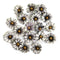 Prima Paper Flowers 18/Pkg Ghostly Blooms, Bewitched