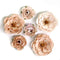 Prima Paper Flowers 6/Pkg Pumpkin Dust, Bewitched