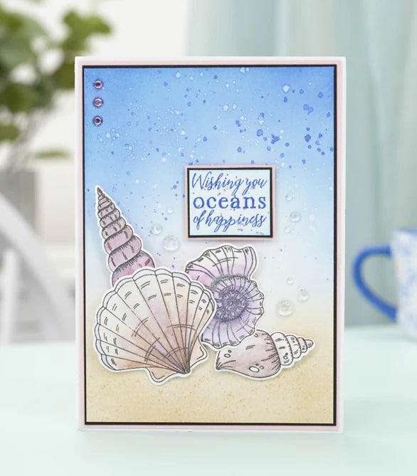 Sara Signature Enchanted Ocean Stamp And Die Sea Shell Collection