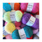 Wendy Wools Supreme DK Acrylic Yarn 100g - Duck Egg