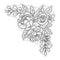 Crafter's Companion Sara Signature Floral Elegance Clear Acrylic Stamp Blossoming Corner