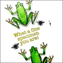 Elizabeth Craft Clear Stamps Playful Sentiments