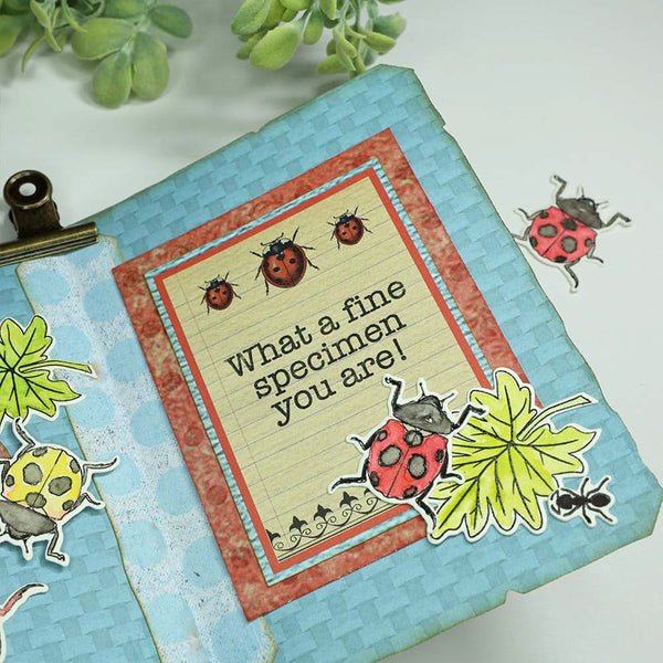 Elizabeth Craft Clear Stamps Playful Sentiments