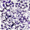 49 And Market Colour Swatch: Lavender Acetate Leaves