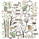 49 And Market Nature Study Laser Cut Outs Elements