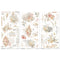 49 And Market Rub-On Transfer Set 6"X12" One Perfect Day